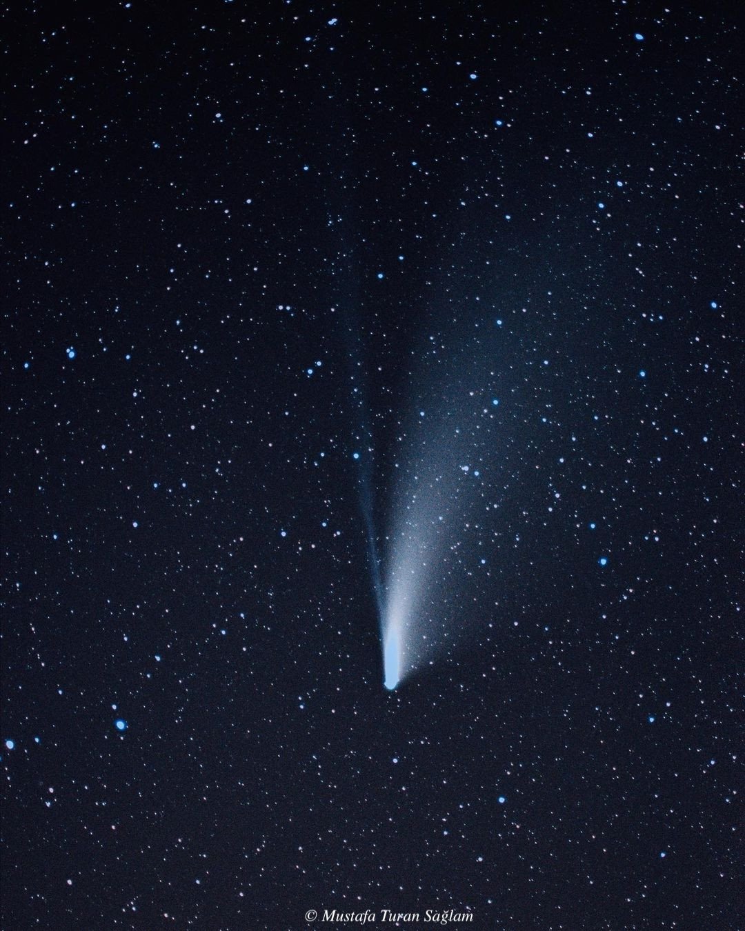 Comet C/2020 F3 (NEOWISE) with its dust and ion tails