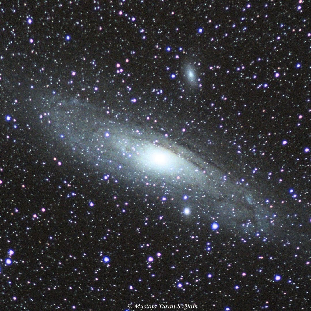 M31 — Dust Lanes and Companions