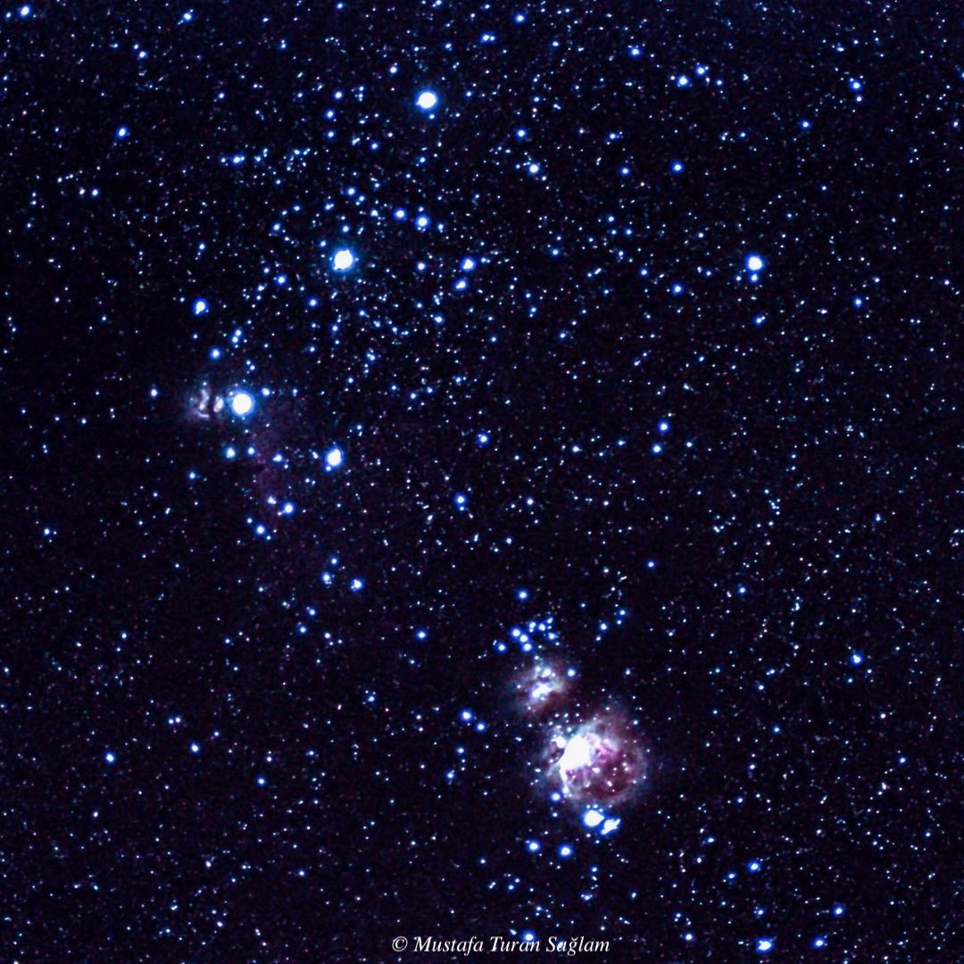 The Orion Region